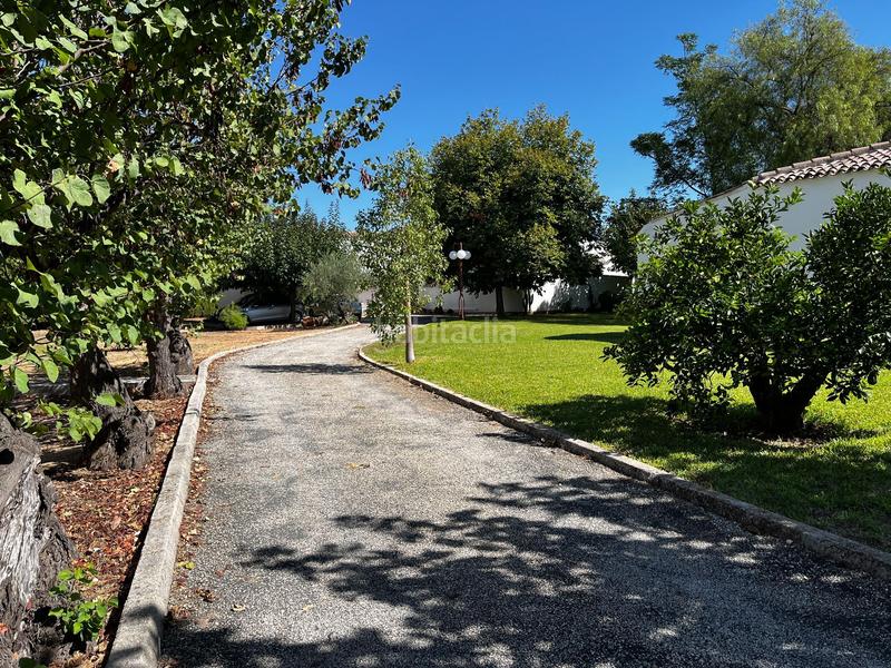 Foto ea0d2394-66f5-4d42-9727-db0f4eb14445. Casa en Santa Ana Ontinyent