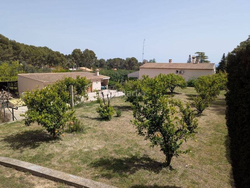 Foto 3b5b4cf5-d034-431e-803e-21ce3c12c926. Casa amb calefacció piscina a Santa Ana Ontinyent