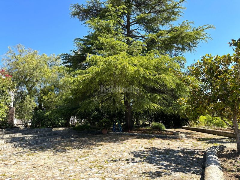 Foto ba942787-54cb-4313-bac9-3c8613c14d4d. Casa en Santa Ana Ontinyent