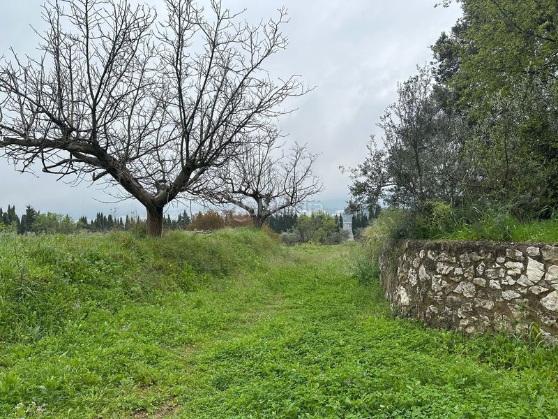 Foto 57da1e7c-f52a-4fed-8895-4d4c9cc19c6f. Finca rústica a Agullent