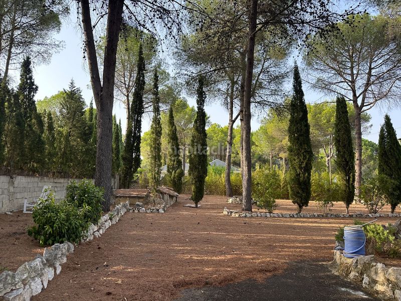 Foto 3dd6e6a5-6566-421d-9cfc-20d628e4b7a6. Casa en El Pilar Ontinyent