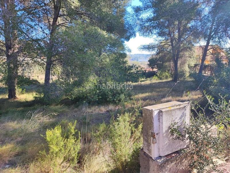 Foto 0581c983-01da-4914-96a3-b524deab7f6f. Terreny residencial a Pallaresos (Els)