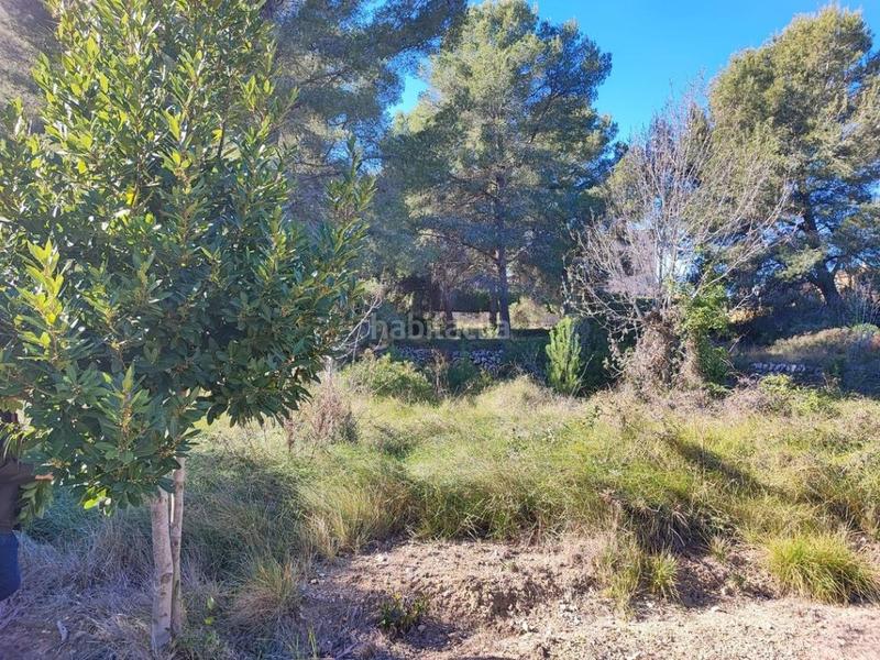 Foto 37f93f9f-49c2-473e-a467-0f923b1d5348. Terreny residencial a Pallaresos (Els)