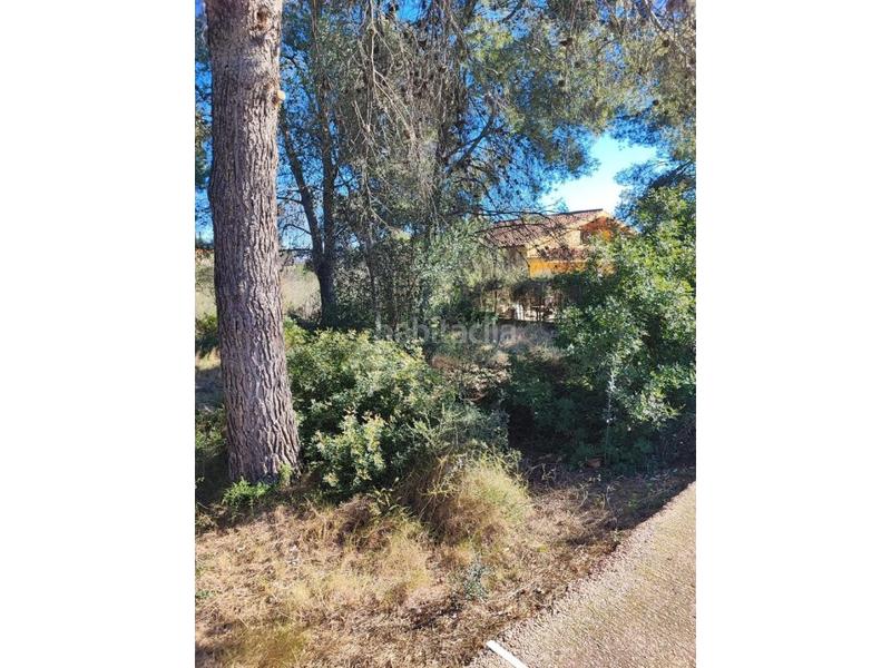 Foto a7d7e315-2be5-4ea1-b415-0c6619bef447. Terreny residencial a Pallaresos (Els)
