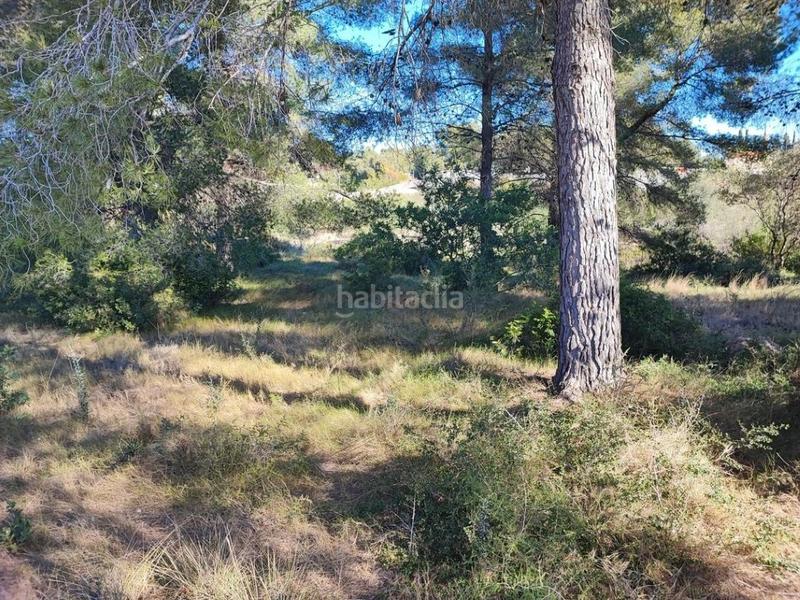 Foto b2e8f4d6-3a2c-43dd-bfde-971b7a06bfd0. Terreny residencial a Pallaresos (Els)