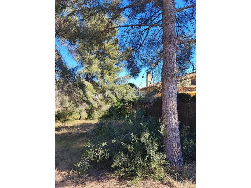 Foto cce52bff-ecd2-4f8d-91f4-9b080d372760. Terreny residencial a Pallaresos (Els)