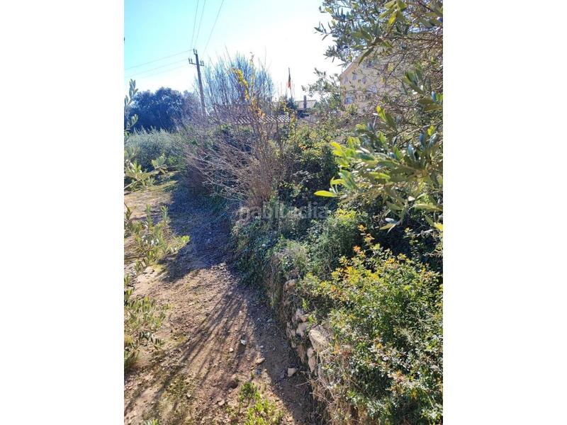 Foto ed7b564f-8d99-42e8-8851-64765b8fe4d8. Terreny residencial a Pallaresos (Els)