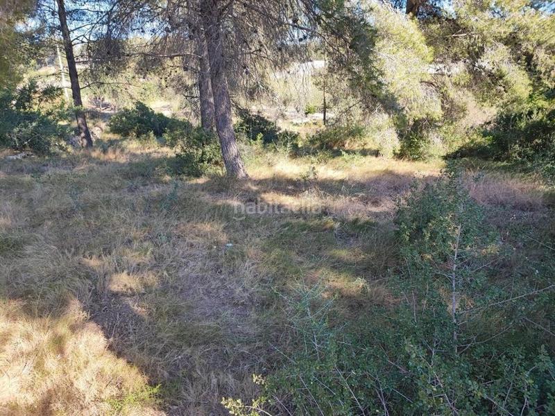 Foto f1964db5-07c8-4bf7-83a0-ae86ba3b68b6. Terreny residencial a Pallaresos (Els)