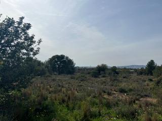Finca rstica en Polgono del Aeropuerto. Terreno rstico