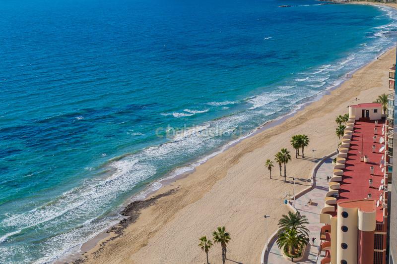 Foto 35c861c1-867c-4838-a88f-110e59fe0104. Piccolo appartamento in avenida europa 8 in Playa Arenal - Bol Calp