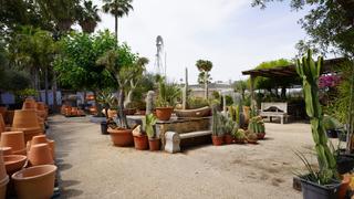 Pas-de-porte Local commercial à 03725 benimarco, alicante, spain. Traspaso de negocio en teulada  garden center de 3.000 m!