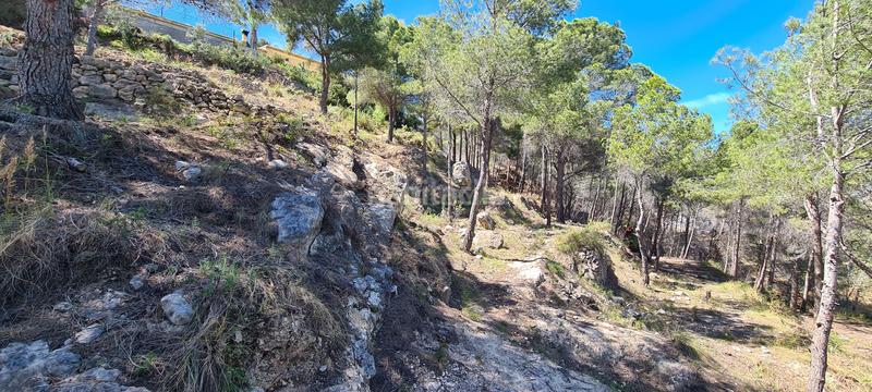 Foto 81fa42ab-16e8-4f9d-a8ea-86109fc8a0d9. Terreno residenziale in oltamar 5q in Oltamar - Cucarres Calp