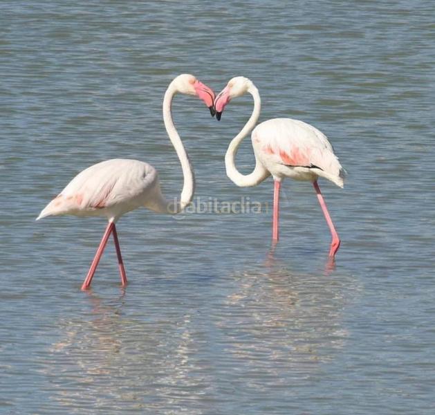 Foto c93c8c1b-ce21-4d5b-8397-834eb25917c6. Terreno residenziale in oltamar 5q in Oltamar - Cucarres Calp