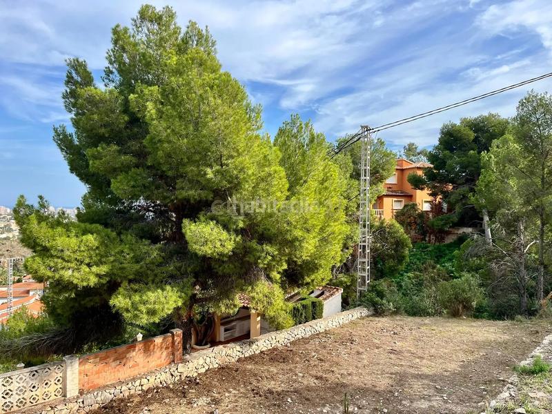 Foto 16615943-45a8-4c04-96a6-c61479222924. Wohngrundstück in Maryvilla 55b in Maryvilla Calp