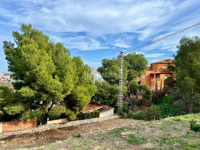 Foto 6198a77a-9598-4539-b506-0d512e6d4389. Wohngrundstück in Maryvilla 55b in Maryvilla Calp