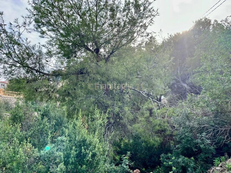 Foto c1ca28f5-8f05-489f-8b57-492dcb027ca2. Wohngrundstück in Maryvilla 55b in Maryvilla Calp