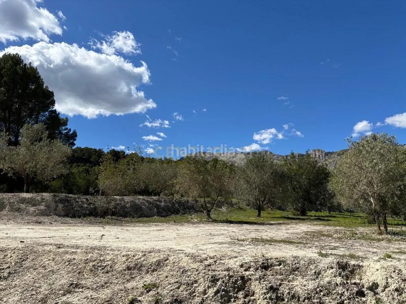 Foto 25aaf056-69ff-4b53-bf97-ff691d1b4891. Finca rústica a mqpq+qc Beniardà a Beniardà