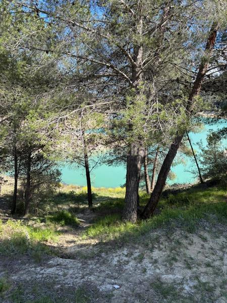 Foto 9ff49437-dfe6-4fd5-8480-648d52d93684. Finca rústica a mqpq+qc Beniardà a Beniardà