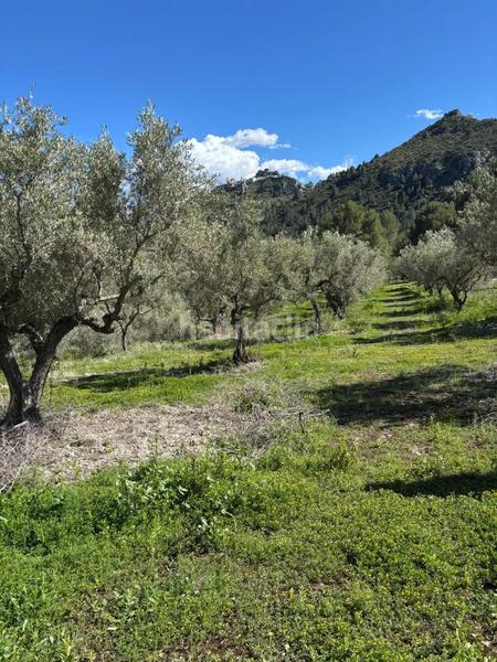 Foto a346ce07-6e71-4c50-b283-d7c905cb89e3. Finca rústica a mqpq+qc Beniardà a Beniardà