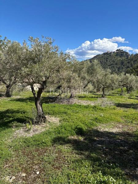 Foto c0a94ea3-4340-484a-9b86-76c9c663ef4c. Finca rústica a mqpq+qc Beniardà a Beniardà