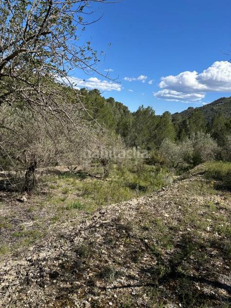 Foto f947ac03-2f31-46b0-b595-0fa75bbe551a. Finca rústica a mqpq+qc Beniardà a Beniardà