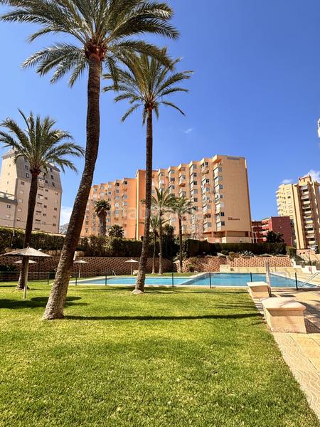 Foto 2573fa64-a9a9-4dcf-b4f3-8124aa27b800. Location appartement dans avenida rosa de los vientos dans Calp