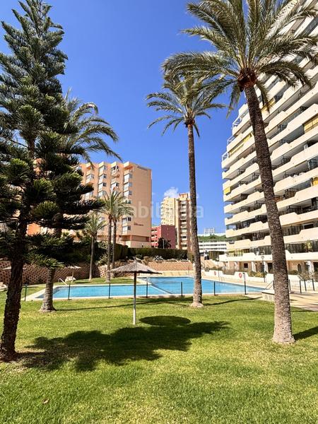 Foto 52ffe344-7719-4b86-a587-773c3eea2b4f. Location appartement dans avenida rosa de los vientos dans Calp