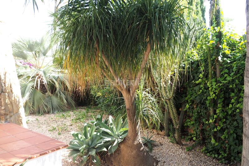 Foto f146e749-c375-401e-bfdd-b0c0620c4d82. Lloguer apartament a pd ricarlos 8(d) Calp (alicante) a Calp