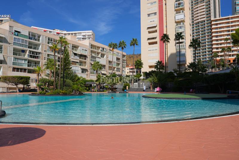Foto 0b51093d-3793-4f69-aa24-262676c4810e. Appartamento in cl londres 18 Benidorm (alicante) montecarlo in Benidorm