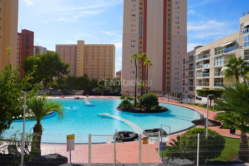 Foto 0c2ebc22-8629-4ac4-a67e-c67723394e30. Appartamento in cl londres 18 Benidorm (alicante) montecarlo in Benidorm