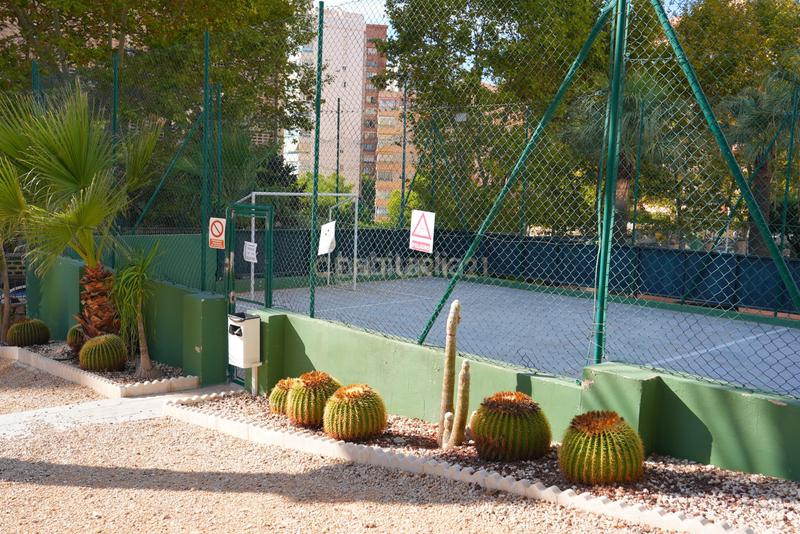 Foto 5d485de7-430e-44ff-9f72-cf96c98a5529. Appartamento in cl londres 18 Benidorm (alicante) montecarlo in Benidorm