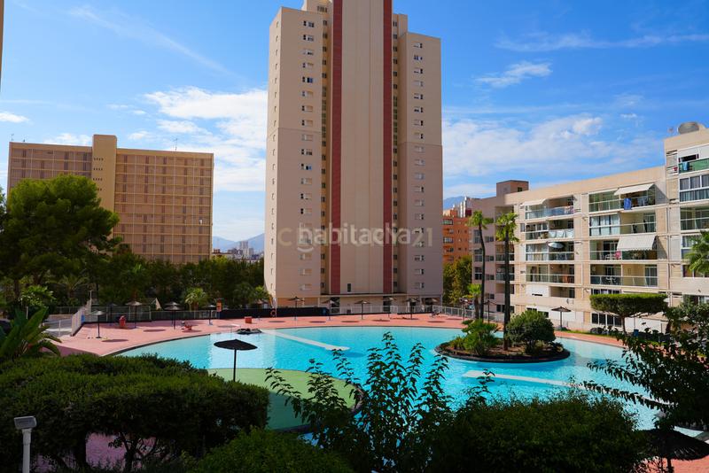 Foto 70a68a9b-b8ac-43f6-a529-5678dd647904. Appartamento in cl londres 18 Benidorm (alicante) montecarlo in Benidorm
