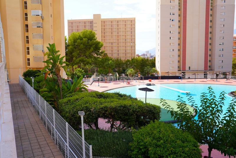 Foto 89dcb3d2-acb3-4cd9-a3e7-5615d2099cc5. Appartamento in cl londres 18 Benidorm (alicante) montecarlo in Benidorm