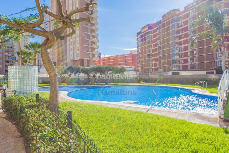 Foto ef6b3ce0-fd9b-4b56-9458-c4297c981c9f. Alquiler piso en dinamarca 2 alquiler de invierno en apolo xiv apartamento con piscina a 100 metros de la playa de la fossa, e en Calp