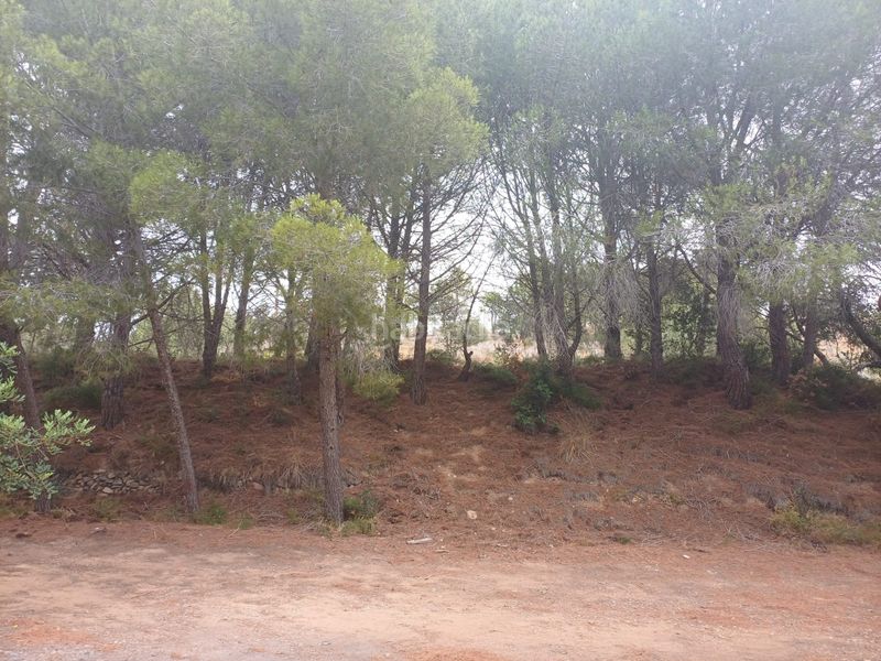 Foto 07b705d7-0a30-4a74-80e9-a1629e0ed337. Finca rústica a Vilanova d´Escornalbou