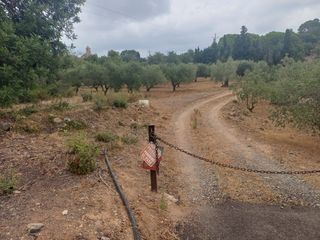 Landgut in Vilanova d´Escornalbou. Venta finca en vilanova d´escornalbou