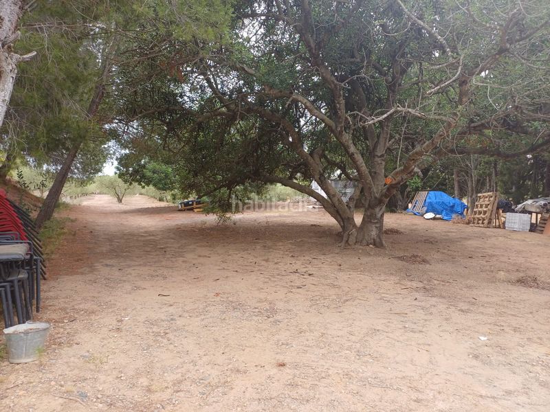 Foto 5a87c255-a12a-407b-acc5-c97a476c4799. Finca rústica a Vilanova d´Escornalbou