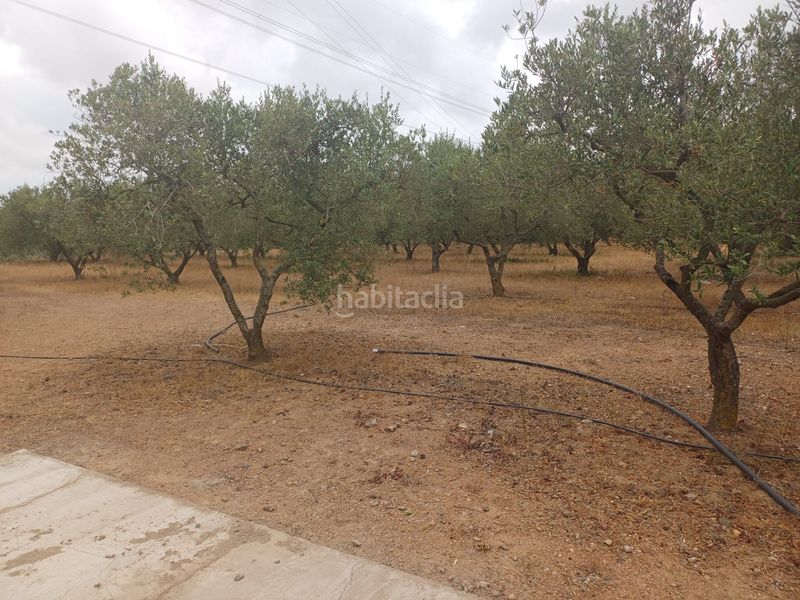 Foto 8acd3419-76ae-45ab-849b-cedfa3a112e4. Finca rústica a Vilanova d´Escornalbou