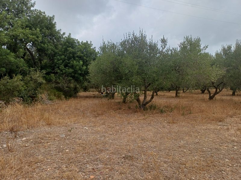 Foto ad9f06a4-4659-49c8-93e4-8462f0e9dd00. Finca rústica a Vilanova d´Escornalbou