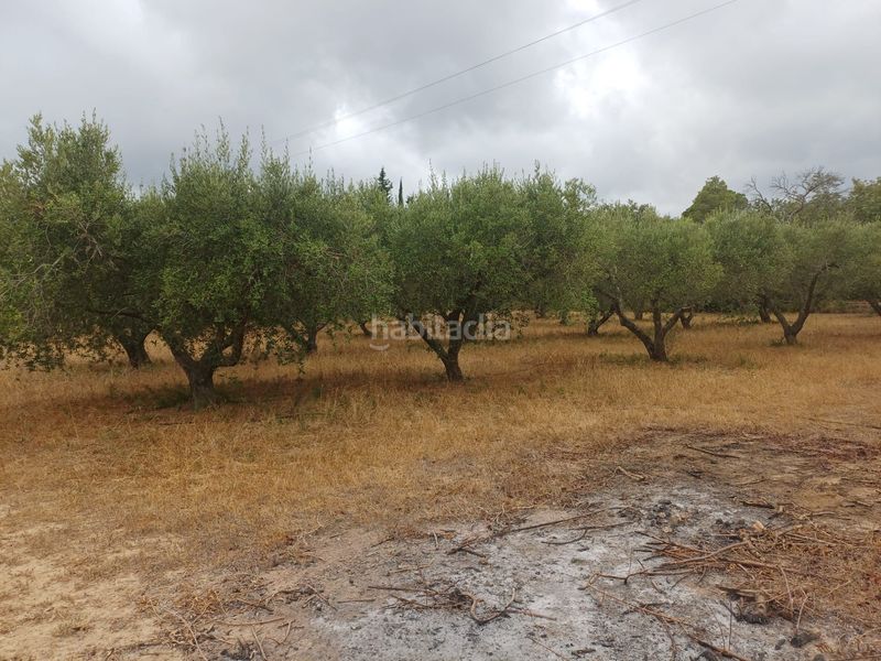 Foto b053659c-9f5e-4de4-8797-a6118b527212. Finca rústica a Vilanova d´Escornalbou