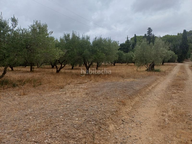 Foto b8f1f12b-5e1f-44f7-9d52-6e53c21552be. Finca rústica a Vilanova d´Escornalbou