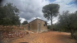 Finca r�stica  Carrer de sant abd� i sant sen�n. Fant�stica finca en riudecanyes
