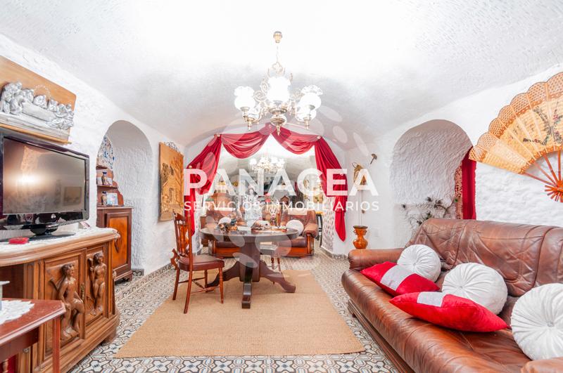 Foto a1299f89-7d04-4bc5-addb-d4a5c4b53ba8. Xalet a Benalúa