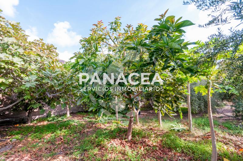 Foto 053afeff-315c-4286-9eaa-d0d3f9fa1db6. Masía finca rústica en venta en Vícar pueblo Vícar