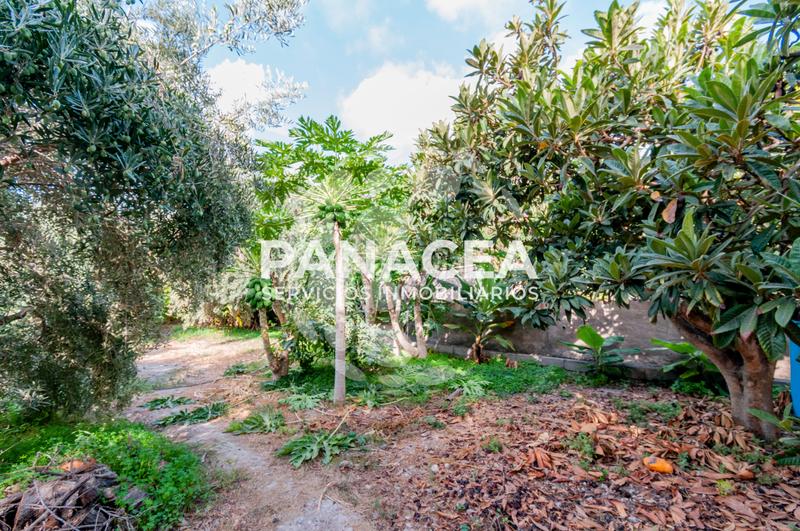 Foto 3468c954-bfff-4e19-9882-b3827ed846e9. Masía finca rústica en venta en Vícar pueblo Vícar