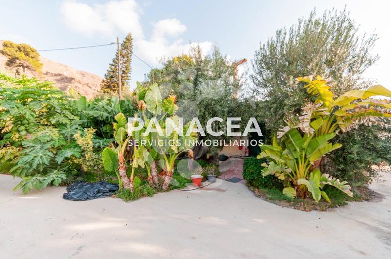 Foto 789bdf8f-c835-4ba7-bba8-32937ae49e14. Masía finca rústica en venta en Vícar pueblo Vícar