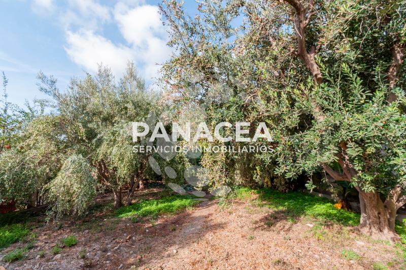 Foto 7f712136-473a-4dcf-a279-f6ce78d21d9b. Masía finca rústica en venta en Vícar pueblo Vícar