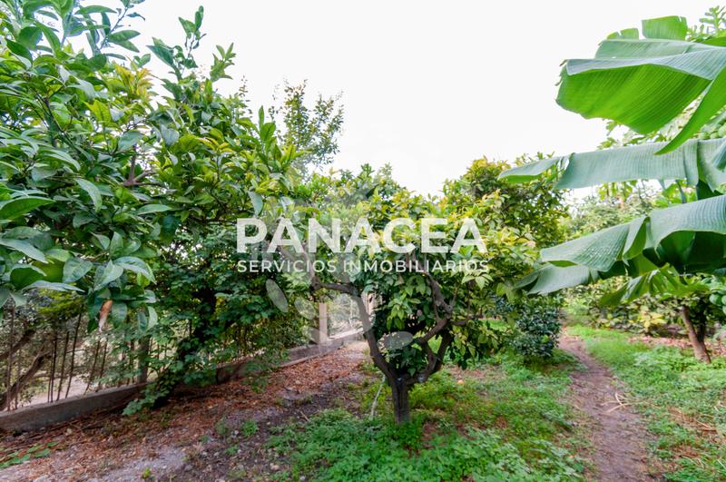 Foto 82db6500-839d-49a9-9961-26de14d65f44. Masía finca rústica en venta en Vícar pueblo Vícar