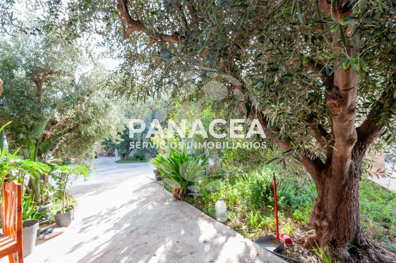 Foto 98362bc9-37cc-4981-9d83-22c356d948a6. Masía finca rústica en venta en Vícar pueblo Vícar