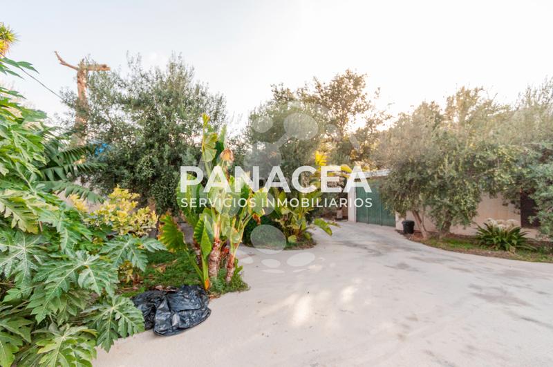 Foto b0dd6cbc-b571-41d3-8f68-49e7991e8ed8. Masía finca rústica en venta en Vícar pueblo Vícar